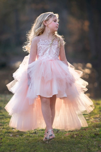 LUXURIOUS HI-LOW DRESS WITH BEADED BODICE AND MULTI LAYER SKIRT