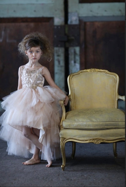 LUXURIOUS HI-LOW DRESS WITH BEADED BODICE AND MULTI LAYER SKIRT