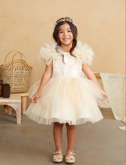 GRILS GLITTER BODICE WITH LACEAPPLIQUE AND FLUFFY SLEEVES WITH FEATHERS